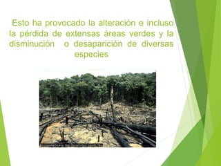 Esto ha provocado la alteración e incluso
la pérdida de extensas áreas verdes y la
disminución o desaparición de diversas
especies
 