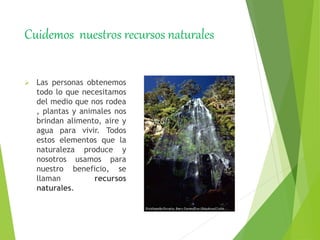 Cuidemos nuestros recursos naturales
 Las personas obtenemos
todo lo que necesitamos
del medio que nos rodea
, plantas y animales nos
brindan alimento, aire y
agua para vivir. Todos
estos elementos que la
naturaleza produce y
nosotros usamos para
nuestro beneficio, se
llaman recursos
naturales.
 