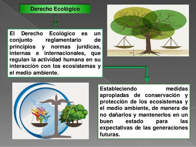 La Ecología como fuente del Derecho Ecológico