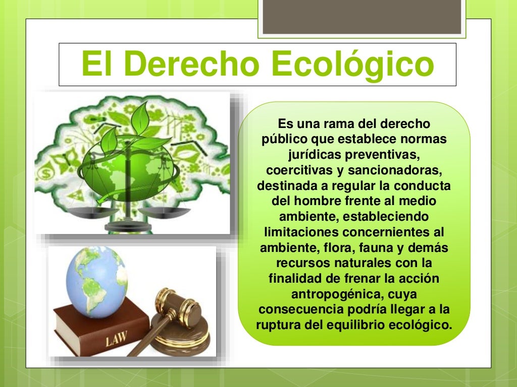 Caracteristicas Del Derecho Ecologico En Mexico