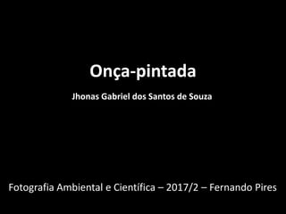 Onça-pintada
Jhonas Gabriel dos Santos de Souza
Fotografia Ambiental e Científica – 2017/2 – Fernando Pires
 