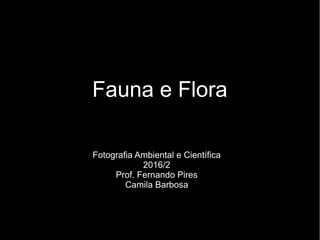 Fauna e Flora
Fotografia Ambiental e Científica
2016/2
Prof. Fernando Pires
Camila Barbosa
 