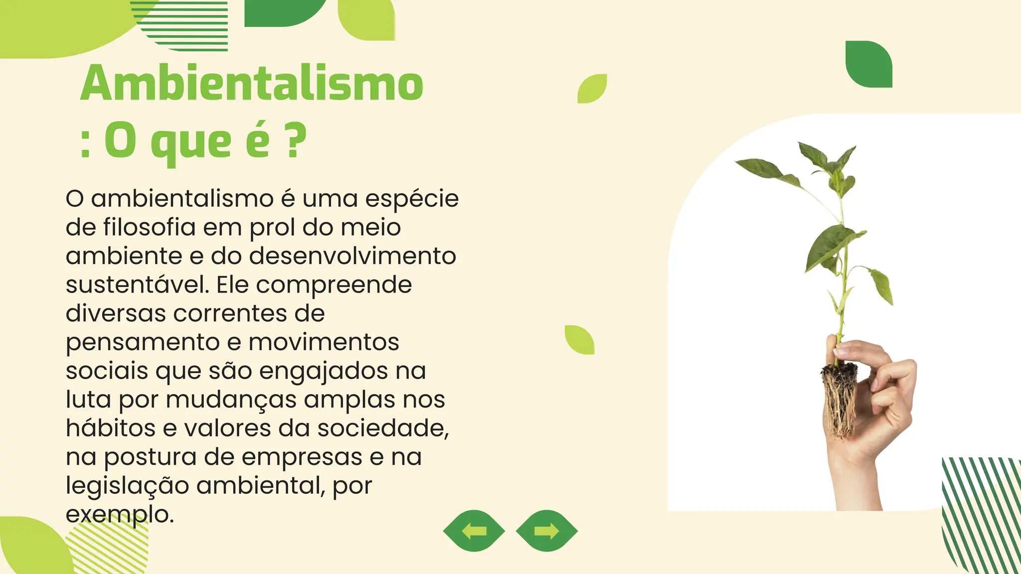 Ambientalismo e problemas ambientais e seus efeitos | PDF