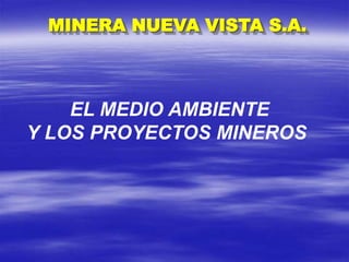 MINERA NUEVA VISTA S.A.
EL MEDIO AMBIENTE
Y LOS PROYECTOS MINEROS
 