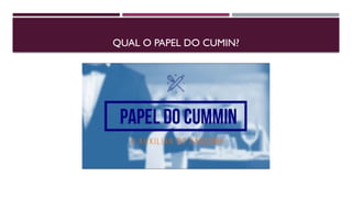QUAL O PAPEL DO CUMIN?
 