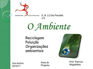 E. B. 2,3 De Penafiel nº3 O Ambiente Reciclagem Poluição Organizações ambientais Prof. Patrícia Magalhães Área de Projecto Ano lectivo 2010/11 