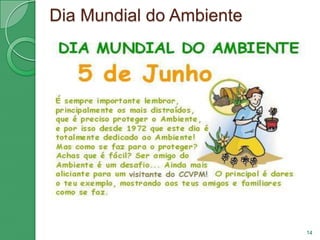 Organizações AmbientaisLiga para a protecção da naturezaA Liga para a Protecção da Natureza (LPN) é uma organização não governamental de ambiente (ONGA) de Portugal.É a mais antiga organização ambiental da península Ibérica, foi criada em 1948, por intermédio do poeta português Sebastião da Gama, ao constatar a destruição gradual da Mata do Solitário na serra da Arrábida (local de culto para o poeta), pela mão de um empresário local. Enviou o poeta uma carta ao professor doutor Baeta Neves, para salvar aquela mata da extinção.12