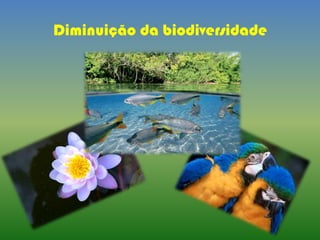 Diminuição da biodiversidade
 