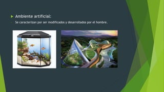  Ambiente artificial:
- Se caracterizan por ser modificados y desarrollados por el hombre.
 