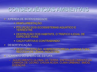 CONSEQUÊNCIAS AMBIENTAIS
 A PERDA DE BIODIVERSIDADE:
 DESFLORESTAÇÃO
 POLUIÇÃO DOS ECOSSISTEMAS AQUÁTICO E
TERRESTRE
 DESTRUIÇÃO DOS HABITATS, O TRÁFICO ILEGAL DE
ESPÉCIES VIVAS
 CAÇA FURTIVA E CONTRABANDO
 DESERTIFICAÇÃO:
 DESFLORESTAÇÃO; SOBREPASTORÍCIA; AGRICULTURA;
RECOLHA DE LENHA; INDÚSTRIA.
 AUMENTO DO EFEITO DE ESTUFA:
– AQUECIMENTO GLOBAL DA TERRA, ENFRAQUECIMENTO DA
CAMADA DE OZONO, CHUVA ÁCIDA, CLIMA URBANO, SMOG,
DOENÇAS…
 
