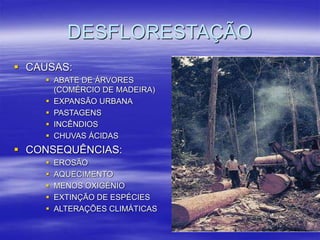 DESFLORESTAÇÃO
 CAUSAS:
 ABATE DE ÁRVORES
(COMÉRCIO DE MADEIRA)
 EXPANSÃO URBANA
 PASTAGENS
 INCÊNDIOS
 CHUVAS ÁCIDAS
 CONSEQUÊNCIAS:
 EROSÃO
 AQUECIMENTO
 MENOS OXIGÉNIO
 EXTINÇÃO DE ESPÉCIES
 ALTERAÇÕES CLIMÁTICAS
 
