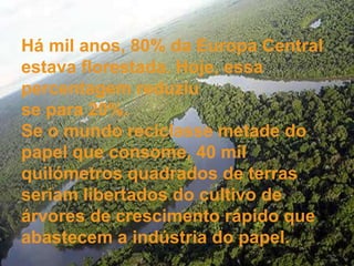 Há mil anos, 80% da Europa Central
estava florestada. Hoje, essa
percentagem reduziu
se para 20%.
Se o mundo reciclasse metade do
papel que consome, 40 mil
quilómetros quadrados de terras
seriam libertados do cultivo de
árvores de crescimento rápido que
abastecem a indústria do papel.
 