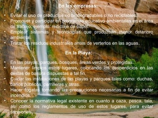 En las empresas:
• Evitar el uso de productos no biodegradables o no reciclables.
• Promover y participar en programas educativo-ambientales en el área
de trabajo, ejemplo: reciclaje de papel.
• Emplear sistemas y tecnologías que produzcan menor deterioro
ambiental.
• Tratar los residuos industriales antes de verterlos en las aguas.
En la Playa:
• En las playas, parques, bosques, áreas verdes y protegidas:
• Mantener limpios estos lugares, colocando los desperdicios en las
cestas de basura dispuestas a tal fin.
• Cuidar las instalaciones de las playas y parques tales como: duchas,
baños públicos, parrilleras y otras.
• Hacer fogatas tomando las precauciones necesarias a fin de evitar
incendios.
• Conocer la normativa legal existente en cuanto a caza, pesca, tala,
así como los reglamentos de uso de estos lugares, para evitar
sanciones.
 