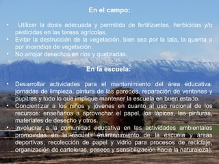 En el campo:
• Utilizar la dosis adecuada y permitida de fertilizantes, herbicidas y/o
pesticidas en las tareas agrícolas.
• Evitar la destrucción de la vegetación, bien sea por la tala, la quema o
por incendios de vegetación.
• No arrojar desechos en ríos y quebradas.
En la escuela:
• Desarrollar actividades para el mantenimiento del área educativa:
jornadas de limpieza, pintura de las paredes, reparación de ventanas y
pupitres y todo lo que implique mantener la escuela en buen estado.
• Concientizar a los niños y jóvenes en cuanto al uso racional de los
recursos: enseñarlos a aprovechar el papel, los lápices, las pinturas,
materiales de desecho y otros.
• Involucrar a la comunidad educativa en las actividades ambientales
promovidas en la escuela (mantenimiento de la escuela y áreas
deportivas, recolección de papel y vidrio para procesos de reciclaje,
organización de carteleras, paseos y sensibilización hacia la naturaleza).
 