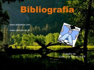Bibliografia . Trabalho de:  Carla  nº:4 Inês nº:13 6ºF www.wikipédia.com www.cienciaviva.pt  