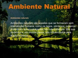 Ambiente Natural . Ambientes naturais Ambientes naturais são aqueles que se formaram sem intervenção humana, como os lagos, pântanos, oceanos. Entretanto, esses ambientes não são estáticos, têm sua dinâmica e, em muitos casos, são influenciados pela acção humana. . 