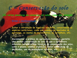 C – Conservação do solo
•Há várias maneiras de conservar os solos, como por exemplo:

      • Evitar a desflorestação;


      • Evitar a introdução de espécies invasoras, conservando as
        espécies autóctones, como por exemplo os montados de
        sobreiros, os soutos de castanheiros, os carvalhais, etc;

      • Incrementar a prática da agricultura biológica, permite
        uma melhor conservação do solo do que a agricultura
        intensiva, porque utiliza técnicas de conservação dos solos,
        como o pousio, adubos orgânicos, menor quantidade de
        pesticidas, uso de predadores naturais, etc.
 