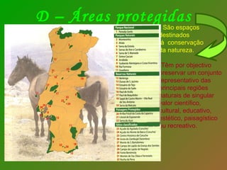 D – Áreas protegidas
               • São espaços
               destinados
                à conservação
               da natureza.

               •Têm por objectivo
               preservar um conjunto
               representativo das
               principais regiões
               naturais de singular
               valor científico,
               cultural, educativo,
               estético, paisagístico
               ou recreativo.
 