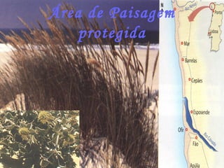 Área de Paisagem
    protegida
 