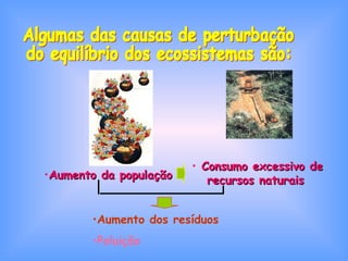 • Consumo excessivo de
•Aumento da população      recursos naturais


       •Aumento dos resíduos
       •Poluição
 