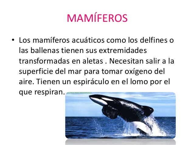 Ambiente Acuático