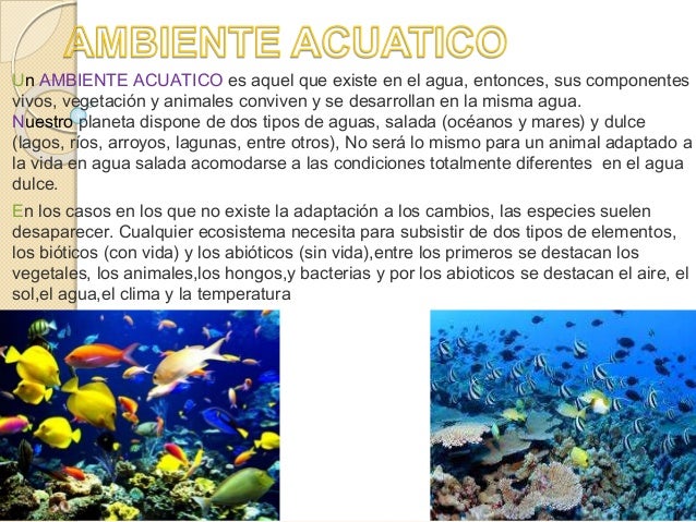 Ambiente acuatico Taboada