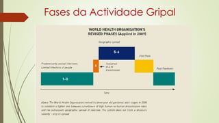 Fases da Actividade Gripal
 
