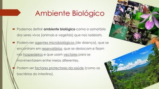 Ambiente Biológico
 Podemos definir ambiente biológico como o somatório
dos seres vivos (animais e vegetais) que nos rodeiam.
 Podem ser agentes microbiológicos (de doença), que se
encontram em reservatórios, que se deslocam e fixam
nos hospedeiros e que usam vectores para se
movimentarem entre meios diferentes.
 Podem ser factores protectores da saúde (como as
bactérias do intestino).
 