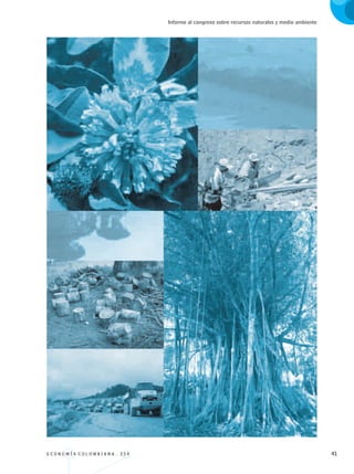 E C O N O M Í A C O L O M B I A N A . 3 3 4 41
Informe al congreso sobre recursos naturales y medio ambiente
REC334_pags_ints_FINAL.indd 41 29/03/2012 10:49:06
 