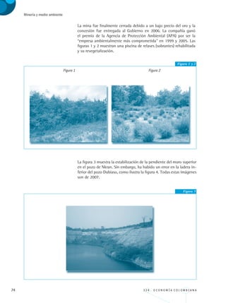 74 3 3 4 . E C O N O M Í A C O L O M B I A N A
Minería y medio ambiente
La mina fue finalmente cerrada debido a un bajo precio del oro y la
concesión fue entregada al Gobierno en 2006. La compañía ganó
el premio de la Agencia de Protección Ambiental (APA) por ser la
“empresa ambientalmente más comprometida” en 1999 y 2005. Las
figuras 1 y 2 muestran una piscina de relaves (sobrantes) rehabilitada
y su revegetalización.
Figura 1 y 2
Figura 1 Figura 2
La figura 3 muestra la estabilización de la pendiente del muro superior
en el pozo de Nkran. Sin embargo, ha habido un error en la ladera in-
ferior del pozo Dubiaso, como ilustra la figura 4. Todas estas imágenes
son de 2007.
Figura 3
REC334_pags_ints_FINAL.indd 74 29/03/2012 10:49:29
 