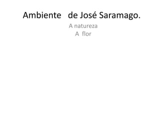 Ambiente de José Saramago.
A natureza
A flor
 