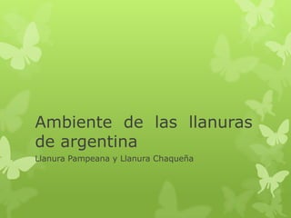 Ambiente de las llanuras
de argentina
Llanura Pampeana y Llanura Chaqueña
 