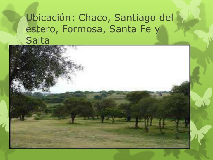 Ambiente de las llanuras de argentina