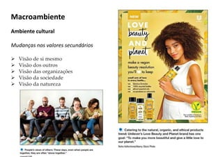Ambiente cultural
Mudanças nos valores secundários
 Visão de si mesmo
 Visão dos outros
 Visão das organizações
 Visão da sociedade
 Visão da natureza
Macroambiente
 