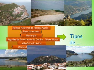 *Àreas protegidas
Área protegida é um espaço geográfico claramente definido, reconhecido, dedicado e
gerido, através de meios legais ou outros igualmente eficientes, com o fim de obter a
conservação ao longo do tempo da natureza com os serviços associados ao ecossistema e os
valores culturais.
Parque nacional
Parque natural
Reserva natural
Monumento natural
Paisagem protegida
Sítio de interesse biológico
Tipos
de …
Parque Nacional da Peneda-Gerês
Serra da estrela
Berlengas
Pegadas de Dinossáurio de Ourém - Torres Novas
Albufeira do Azibo
Monte de São Bartolomeu
 