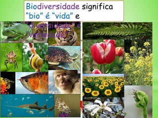 *O Que é?
Biodiversidade ou diversidade biológica compreende a totalidade de variedade de formas
de vida que podemos encontrar na Terra (plantas, aves, mamíferos, insetos,
microorganismos.)
Biodiversidade significa
“bio” é “vida” e
“diversidade” é
“variedade”
 