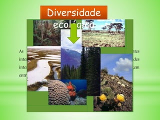 As populações da mesma espécie e de espécies diferentes
interagem entre si formando comunidades; essas comunidades
interagem com o ambiente formando ecossistemas, que interagem
entre si formando paisagens, que formam os biomas.
Diversidade
ecológica
 