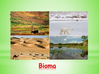 Bioma
 Bioma é um conjunto de diferentes ecossistemas.
 São as comunidades biológicas, ou seja, as populações de
organismos da fauna e da flora interagindo entre si e
interagindo também com o ambiente físico chamado biótopo.
 