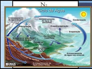 Ciclos mais importantes são:
Ciclos da água
Ciclo do oxigénio
Ciclos do carbono
Ciclo do nitrogénio
 