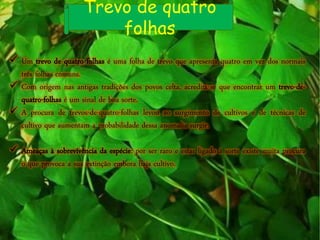 Trevo de quatro
folhas
 Um trevo de quatro folhas é uma folha de trevo que apresenta quatro em vez dos normais
três folhas comuns.
 Com origem nas antigas tradições dos povos celta, acredita-se que encontrar um trevo-de-
quatro-folhas é um sinal de boa sorte.
 A procura de trevos-de-quatro-folhas levou ao surgimento de cultivos e de técnicas de
cultivo que aumentam a probabilidade dessa anomalia surgir.
 Ameaças à sobrevivência da espécie: por ser raro e estar ligado á sorte existe muita procura
o que provoca a sua extinção embora haja cultivo.
 