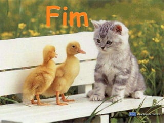 Ambiente e biodiversidade 