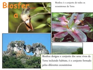 Biosfera designa o conjunto dos seres vivos da
Terra incluindo habitats, é o conjunto formado
pelos diferentes ecossistemas
Biosfera é o conjunto de todos os
ecossistemas da Terra
 