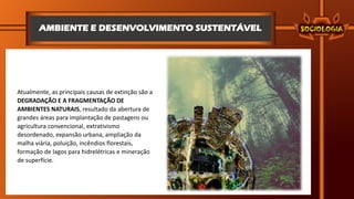 AMBIENTE E DESENVOLVIMENTO SUSTENTÁVEL
Atualmente, as principais causas de extinção são a
DEGRADAÇÃO E A FRAGMENTAÇÃO DE
AMBIENTES NATURAIS, resultado da abertura de
grandes áreas para implantação de pastagens ou
agricultura convencional, extrativismo
desordenado, expansão urbana, ampliação da
malha viária, poluição, incêndios florestais,
formação de lagos para hidrelétricas e mineração
de superfície.
 
