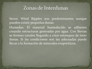    Secos: Wind Ripples son predominantes aunque
    pueden existir pequeñas dunas.
   Humedas: El material humedecido se adhieren
    creando estructuras generadas por agua. Con lluvias
    se forman canales llegando a crear estanques de inter
    dunas. Si las condiciones son las adecuadas puede
    llevar a la formación de minerales evaporíticos.
 
