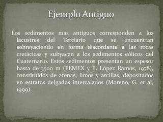 Los sedimentos mas antíguos corresponden a los
  lacustres del Terciario que se encuentran
  sobreyaciendo en forma discordante a las rocas
  cretácicas y subyacen a los sedimentos eólicos del
  Cuaternario. Estos sedimentos presentan un espesor
  hasta de 3500 m (PEMEX y E. López Ramos, 1978),
  constituidos de arenas, limos y arcillas, depositados
  en estratos delgados intercalados (Moreno, G. et al,
  1999).
 