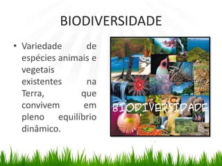 BIODIVERSIDADEVariedade de espécies animais e vegetais existentes na Terra, que convivem em pleno equilíbrio dinâmico.