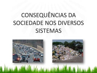 CONSEQUÊNCIAS DA SOCIEDADE NOS DIVERSOS SISTEMAS