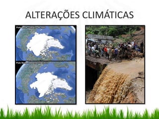 ALTERAÇÕES CLIMÁTICAS
