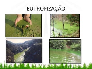 EUTROFIZAÇÃO
