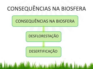 CONSEQUÊNCIAS NA BIOSFERA CONSEQUÊNCIAS NA BIOSFERADESFLORESTAÇÃODESERTIFICAÇÃO